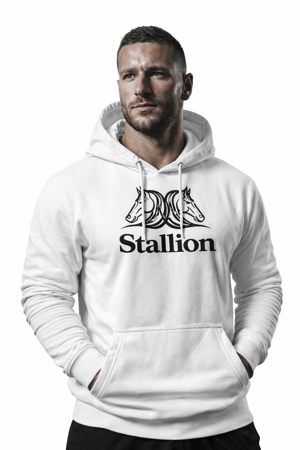 Stallion Hoodies